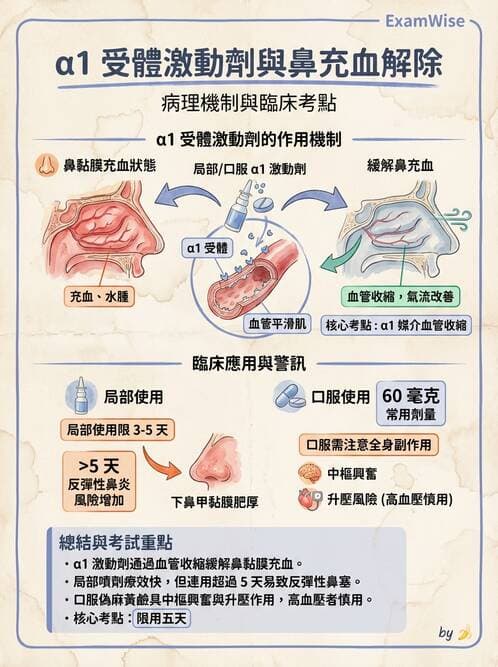 護理師 - 自主神經系統作用藥物 - AI 圖文解析預覽