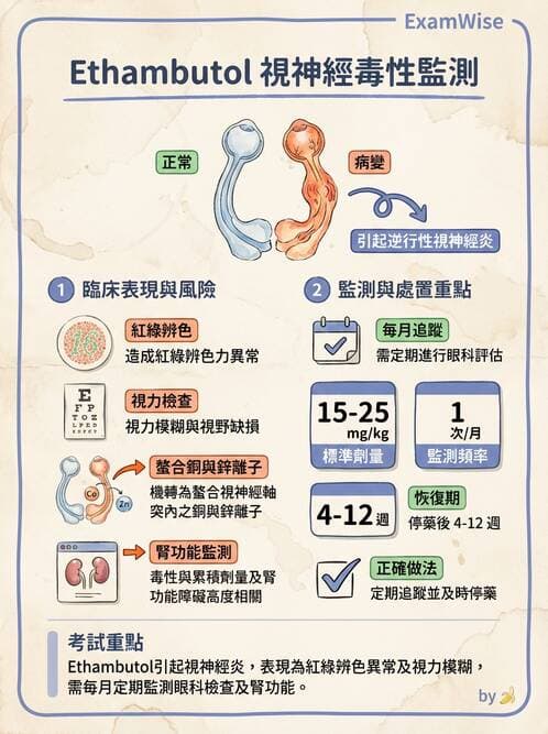 護理師 - 抗感染藥物 - AI 圖文解析預覽