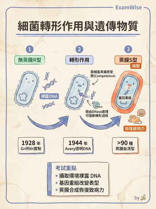 護理師 - 總論 - AI 圖文解析預覽