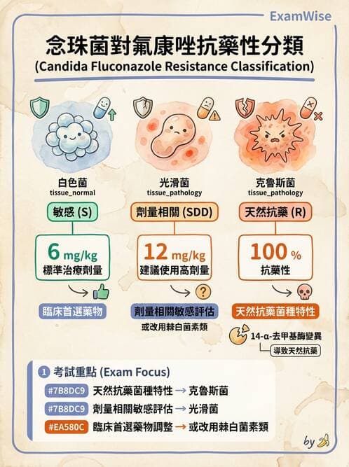 護理師 - 黴菌學概論 - AI 圖文解析預覽