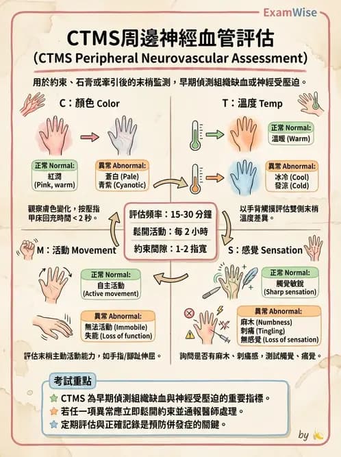 護理師 - 體位擺位與安全照護 - AI 圖文解析預覽