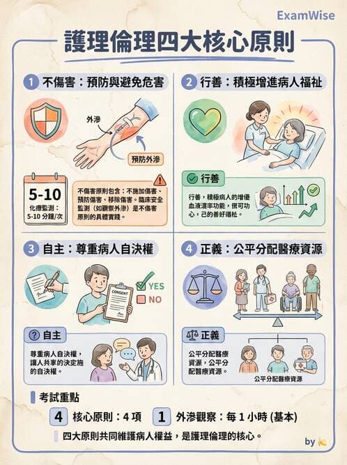 護理師 - 護理理論與專業倫理 - AI 圖文解析預覽