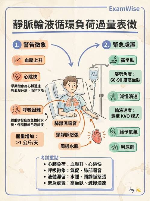 護理師 - 靜脈輸液與電解質平衡 - AI 圖文解析預覽