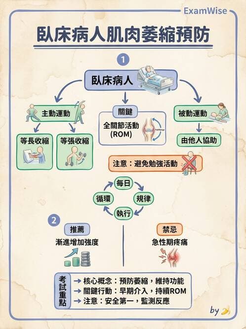護理師 - 運動功能與傷口護理 - AI 圖文解析預覽
