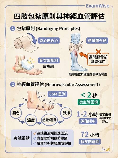 護理師 - 運動功能與傷口護理 - AI 圖文解析預覽