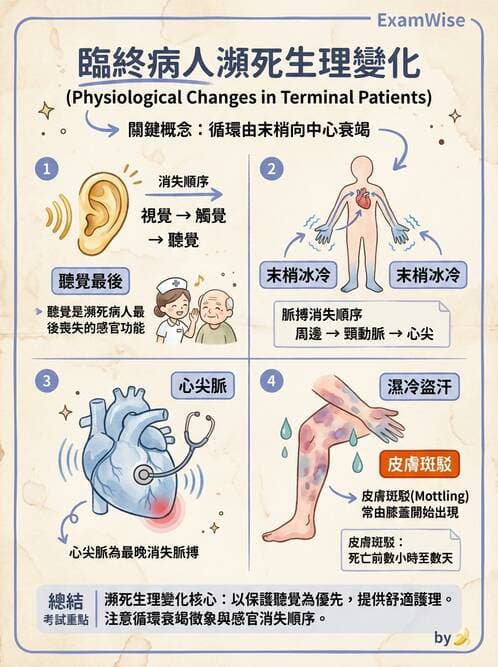 護理師 - 臨終與哀傷護理 - AI 圖文解析預覽