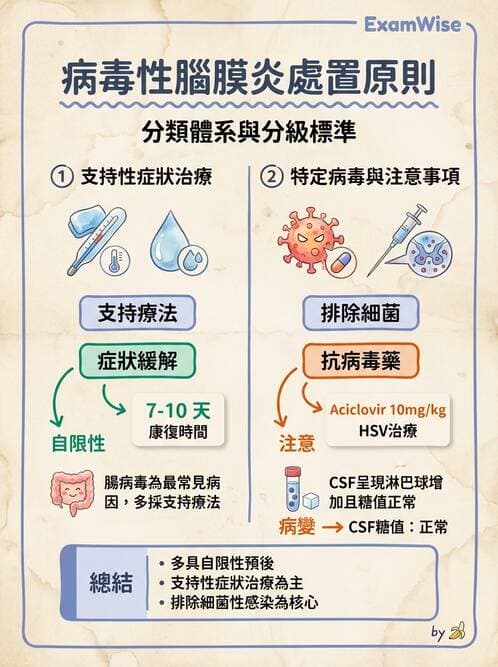 護理師 - 顱內壓升高與頭部外傷 - AI 圖文解析預覽