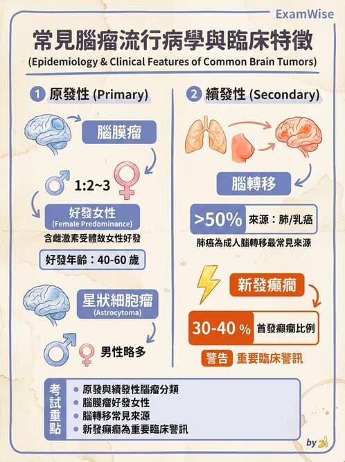 護理師 - 顱內壓升高與頭部外傷 - AI 圖文解析預覽