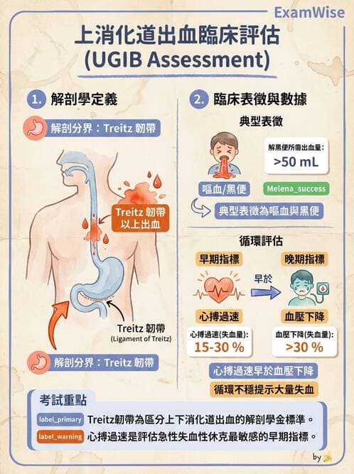 護理師 - 上消化道疾病 - AI 圖文解析預覽