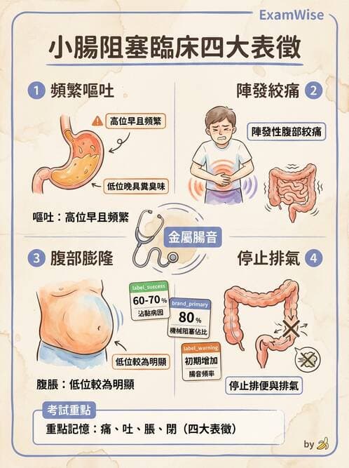 護理師 - 腸道疾病與手術護理 - AI 圖文解析預覽