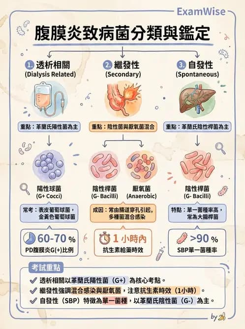 護理師 - 腸道疾病與手術護理 - AI 圖文解析預覽