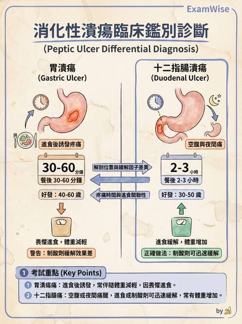 護理師 - 上消化道疾病 - AI 圖文解析預覽