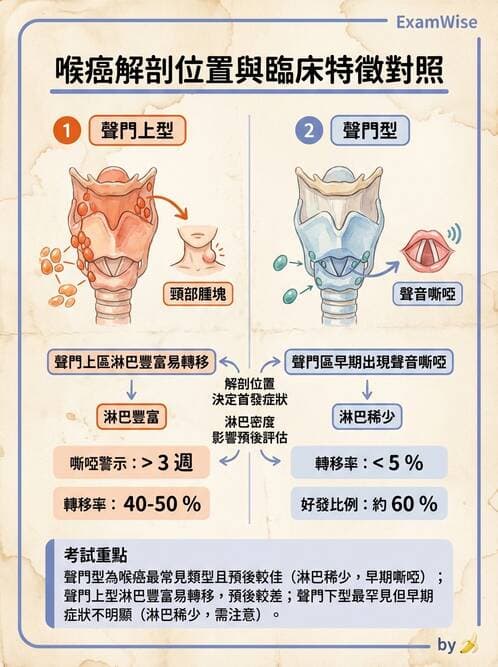 護理師 - 耳鼻喉疾病 - AI 圖文解析預覽