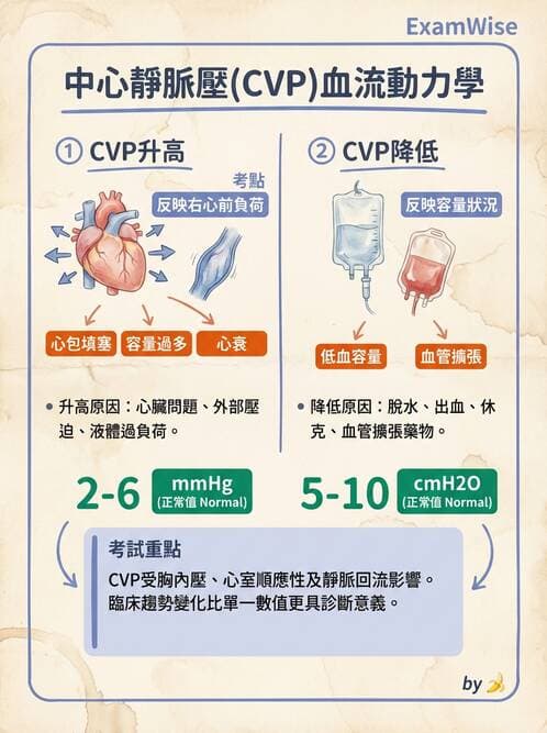 護理師 - 心臟衰竭與心律不整 - AI 圖文解析預覽