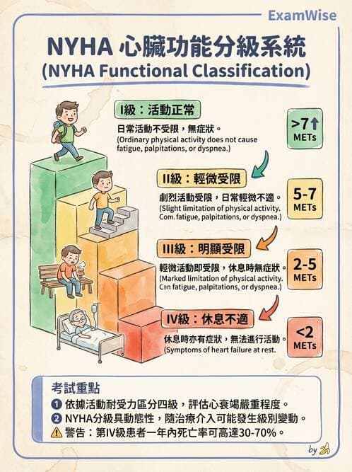 護理師 - 心臟衰竭與心律不整 - AI 圖文解析預覽