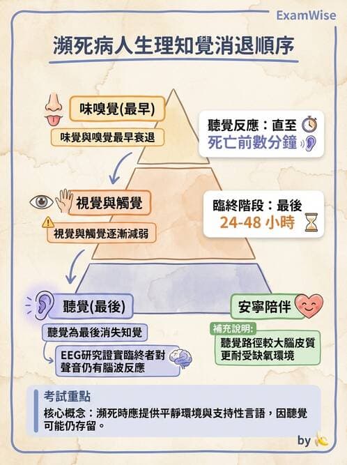 護理師 - 放療、疼痛管理與安寧護理 - AI 圖文解析預覽