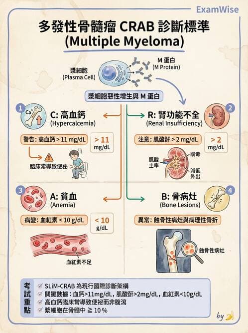 護理師 - 血液腫瘤疾病 - AI 圖文解析預覽