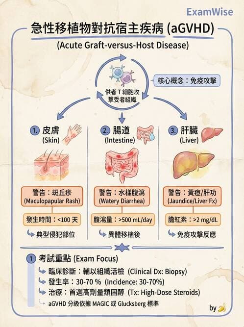 護理師 - 血液腫瘤疾病 - AI 圖文解析預覽