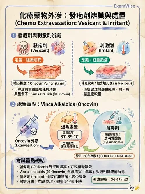 護理師 - 化療護理 - AI 圖文解析預覽