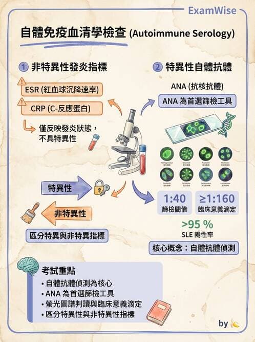 護理師 - 自體免疫疾病與過敏反應 - AI 圖文解析預覽