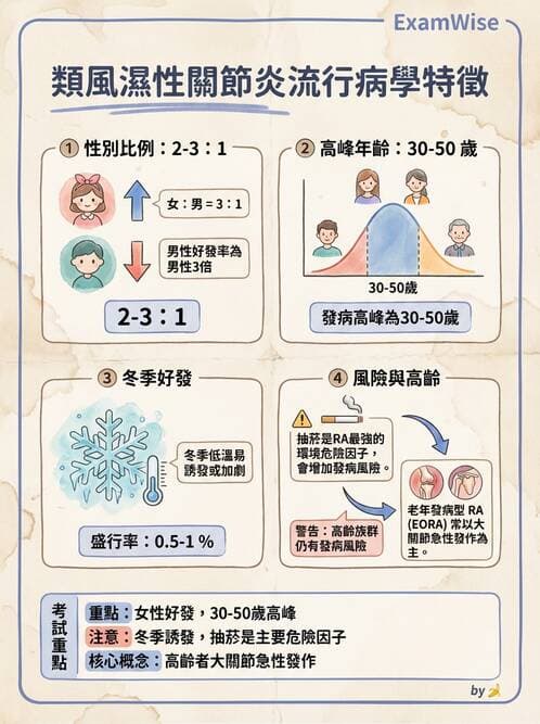 護理師 - 自體免疫疾病與過敏反應 - AI 圖文解析預覽