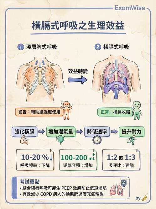 護理師 - COPD與氣喘 - AI 圖文解析預覽