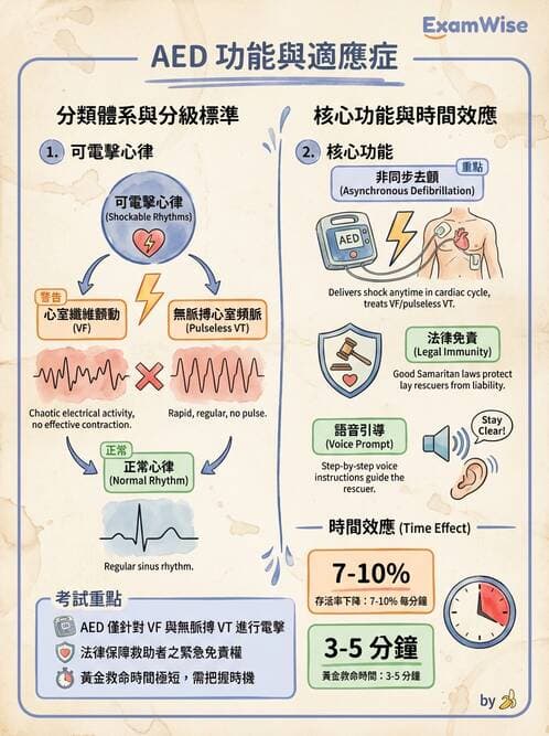 護理師 - CPR、AED與急救技術 - AI 圖文解析預覽