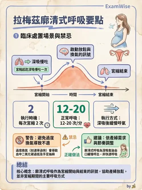 護理師 - 生產疼痛與麻醉技術 - AI 圖文解析預覽
