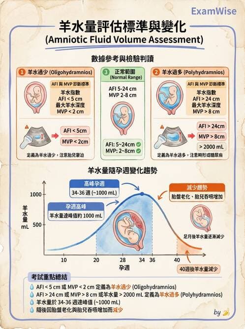 護理師 - 胎兒發育與監測評估 - AI 圖文解析預覽