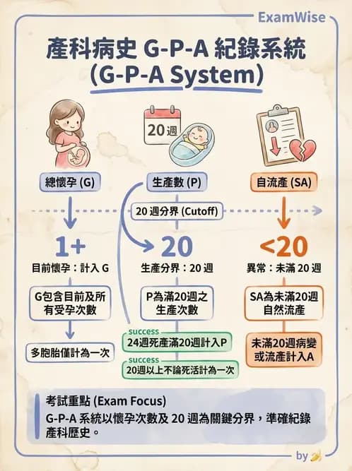 護理師 - 孕期營養心理與衛生政策 - AI 圖文解析預覽
