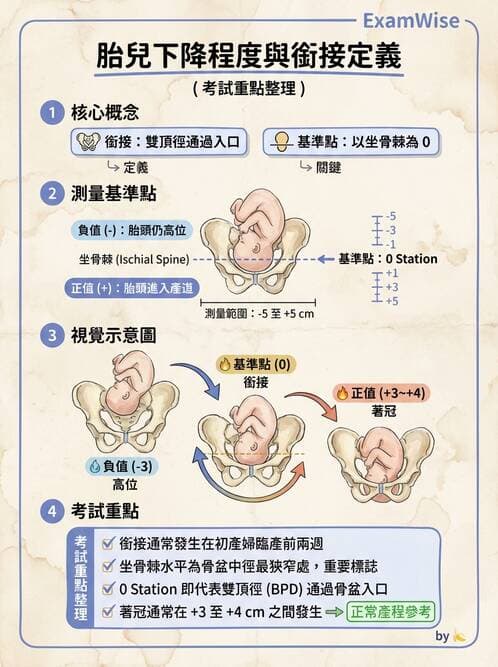 護理師 - 產程機轉與待產護理 - AI 圖文解析預覽