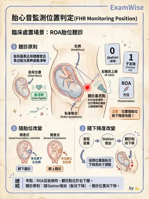 護理師 - 產程機轉與待產護理 - AI 圖文解析預覽