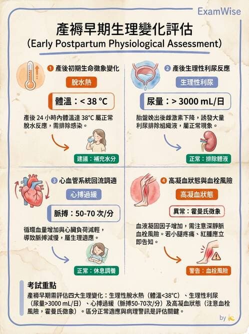 護理師 - 產後生理恢復與護理 - AI 圖文解析預覽