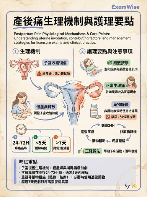 護理師 - 產程機轉與待產護理 - AI 圖文解析預覽