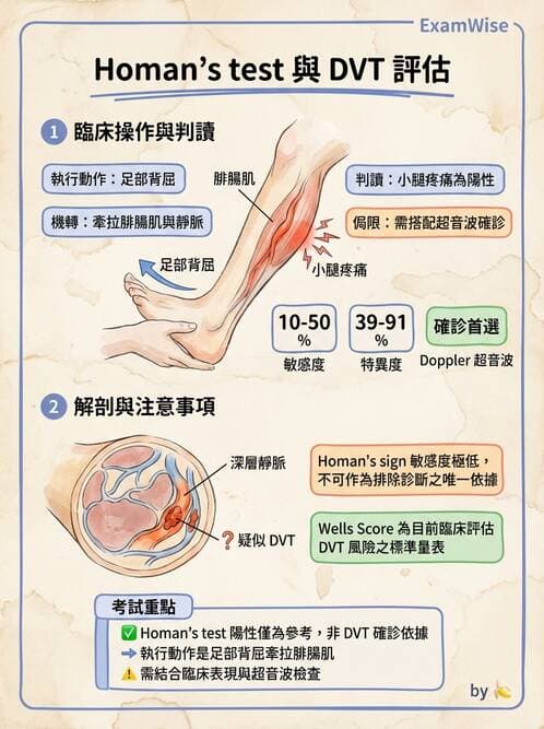 護理師 - 產後生理恢復與護理 - AI 圖文解析預覽