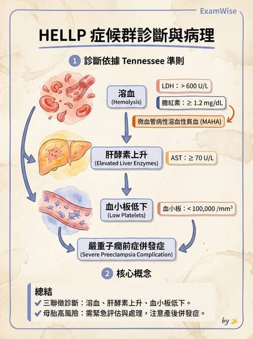 護理師 - 高危險妊娠 - AI 圖文解析預覽