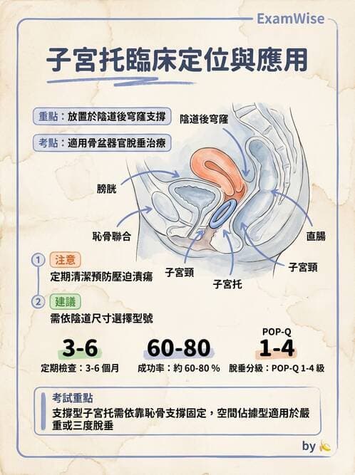 護理師 - 不孕症月經與更年期 - AI 圖文解析預覽