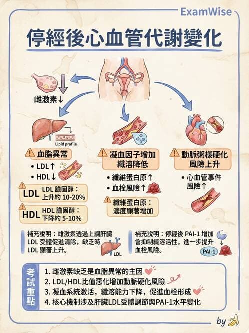 護理師 - 不孕症月經與更年期 - AI 圖文解析預覽