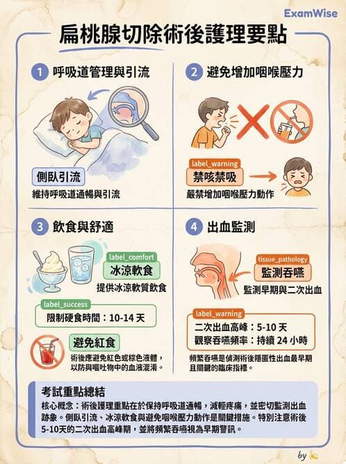 護理師 - 兒童基本護理評估技術 - AI 圖文解析預覽