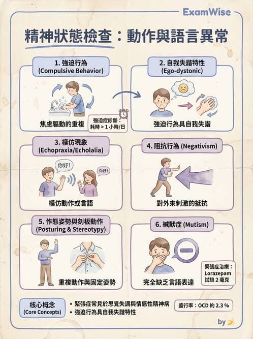 護理師 - 情感與思覺障礙綜合評估 - AI 圖文解析預覽