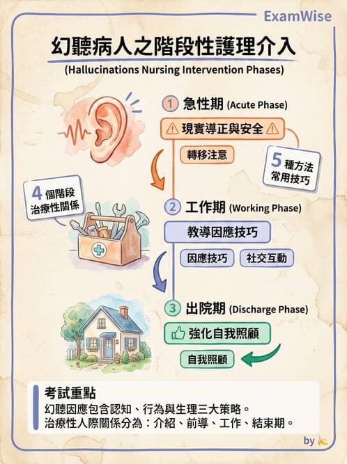 護理師 - 思覺失調症護理 - AI 圖文解析預覽