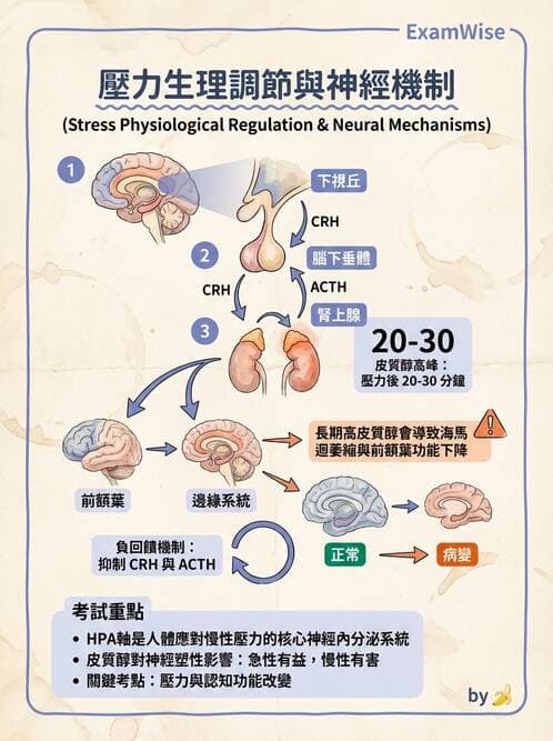 護理師 - 特殊情境護理 - AI 圖文解析預覽
