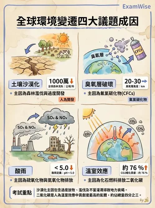 護理師 - 環境衛生與護理 - AI 圖文解析預覽