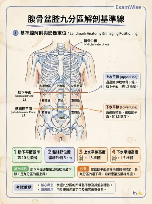 護理師 - 概論、皮膚系統、內分泌系統 - AI 圖文解析預覽