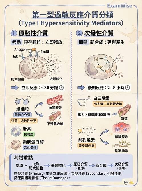 護理師 - 免疫疾病 - AI 圖文解析預覽