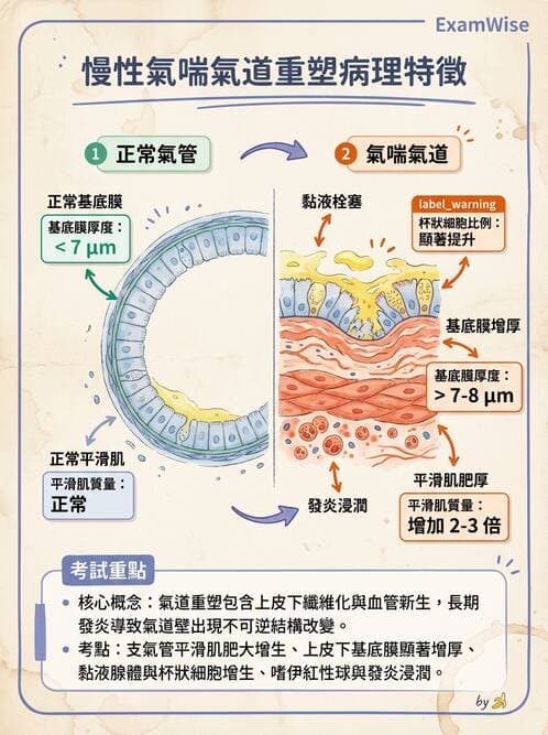 護理師 - 呼吸、循環系統 - AI 圖文解析預覽