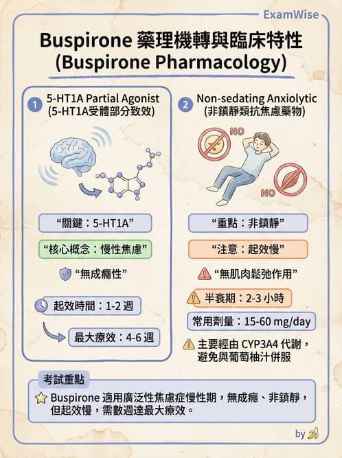 護理師 - 精神科藥物 - AI 圖文解析預覽