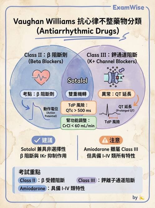 護理師 - 心臟藥物與抗血栓劑 - AI 圖文解析預覽