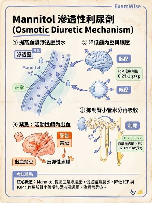 護理師 - 影響新陳代謝及內分泌功能藥物 - AI 圖文解析預覽
