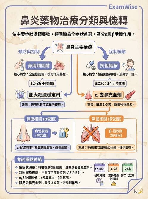 護理師 - 呼吸道及胃腸道作用藥物 - AI 圖文解析預覽